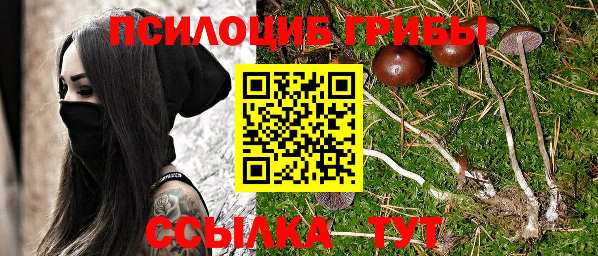 Галлюциногенные грибы мицелий Ипатово